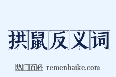 拱鼠反义词是什么意思的图片